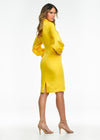 Back Yellow ASHLEYlauren 4487 silver fully hand-beaded cocktail dress featuring a halter neckline, high back, fitted skirt, left leg slit, and fringe trim along the hemline for a chic and glamorous look.