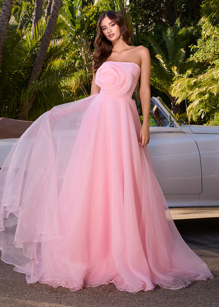ASHLEYlauren 11913 Organza Ball Gown with Floral Bustier