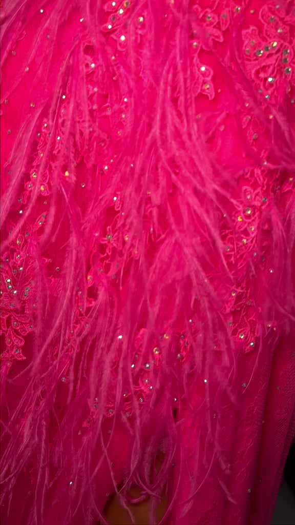 Video - ASHLEYlauren 11480 hot pink A-line gown with feather and jewel embellishments, corset bodice, lace up back, and left leg slit